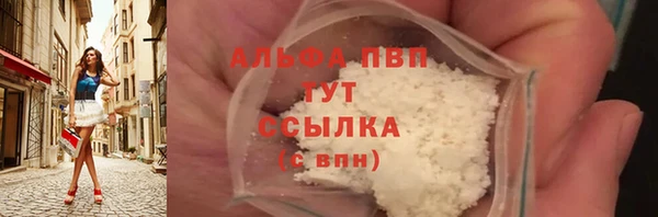 гашик Аркадак