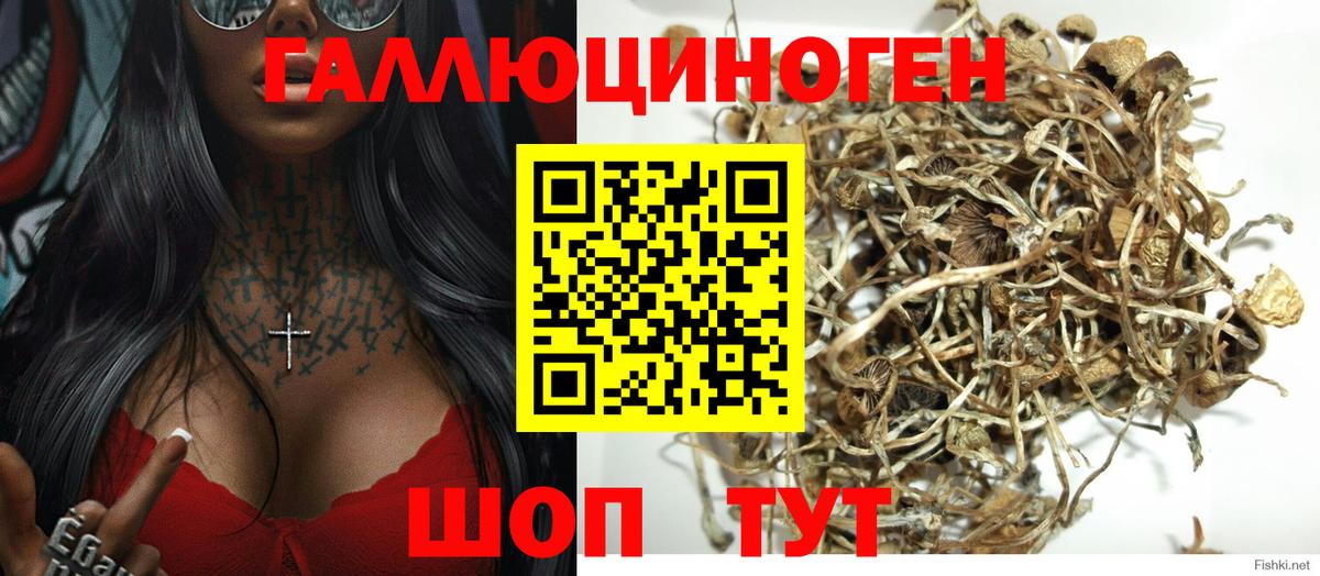 Галлюциногенные грибы Magic Shrooms  Вход с VPN  Сибай 